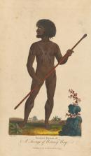 Elder of Van Diemen’s land, Bruny Island