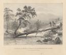 Course of the Nepean, beneath the residence of Mr. MacArthur