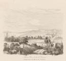 Hobart Town, near the barracks