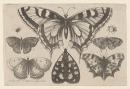 Five butterflies, a moth and two beetles